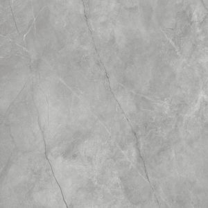 Asicus Grey