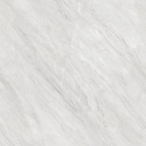 Slavia Grey
